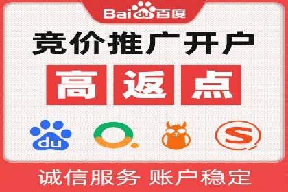 百度推广公司案例解析：如何通过百度推广实现品牌升级